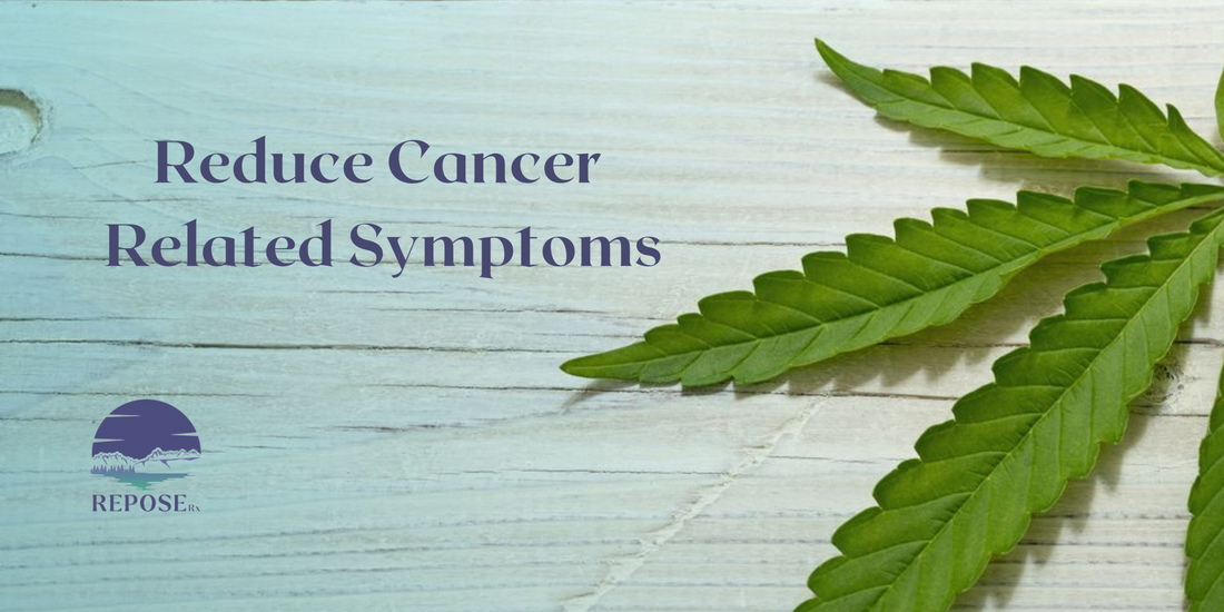5 Ways CBD Can Reduce Cancer Related Symptoms