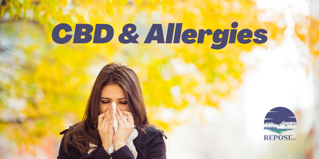 Can CBD Aid in the Relief of Seasonal Allergies?